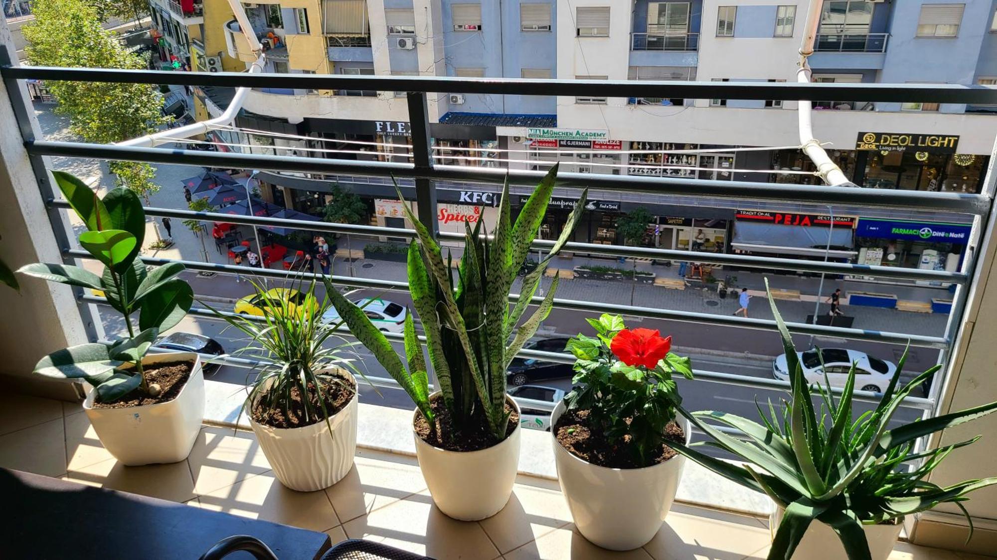 Marinela Apartment Tiranë Eksteriør bilde